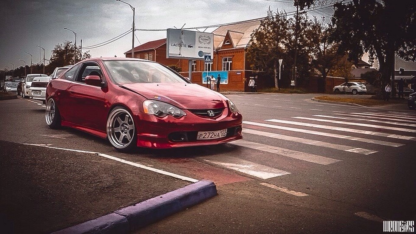 HONDA RED SHARK